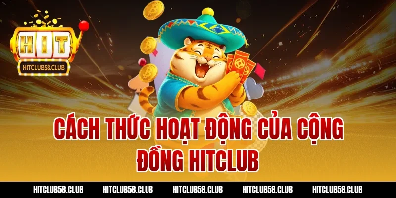 Cách thức hoạt động của cộng đồng hitclub